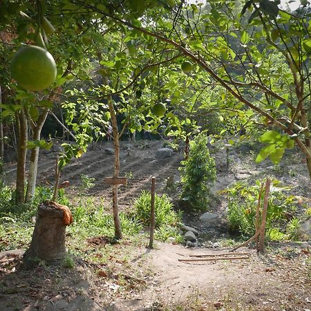 Finca Carpe Diem Ecolodge Minca Esterno foto