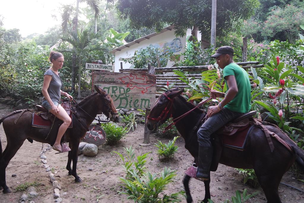 Finca Carpe Diem Ecolodge Minca Esterno foto