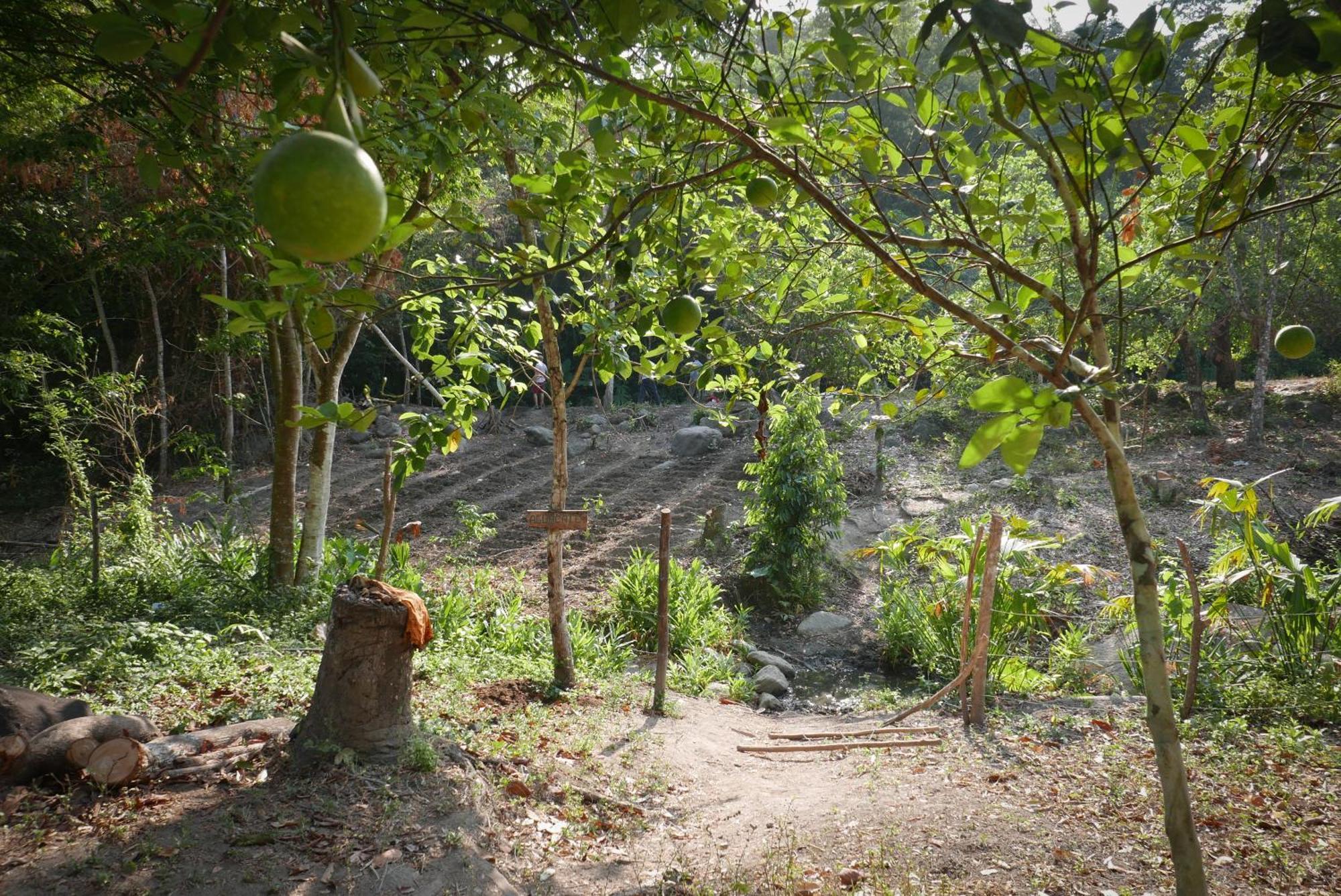 Finca Carpe Diem Ecolodge Minca Esterno foto