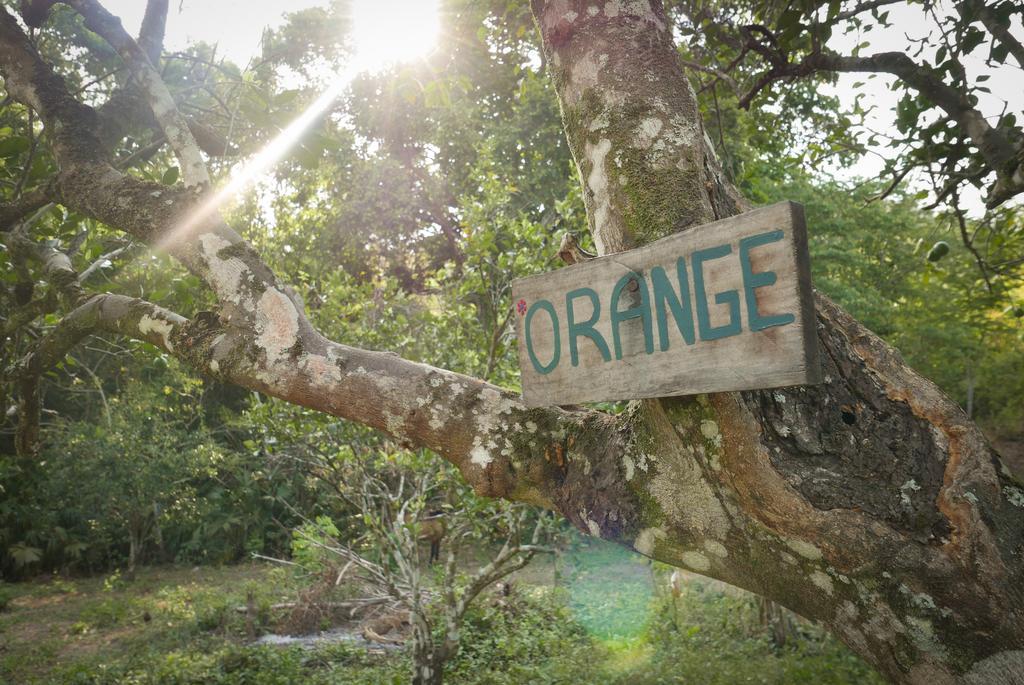 Finca Carpe Diem Ecolodge Minca Esterno foto