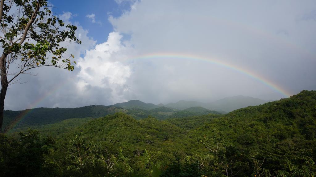 Finca Carpe Diem Ecolodge Minca Esterno foto